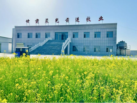 座谈交流听心声，文化润心聚合力