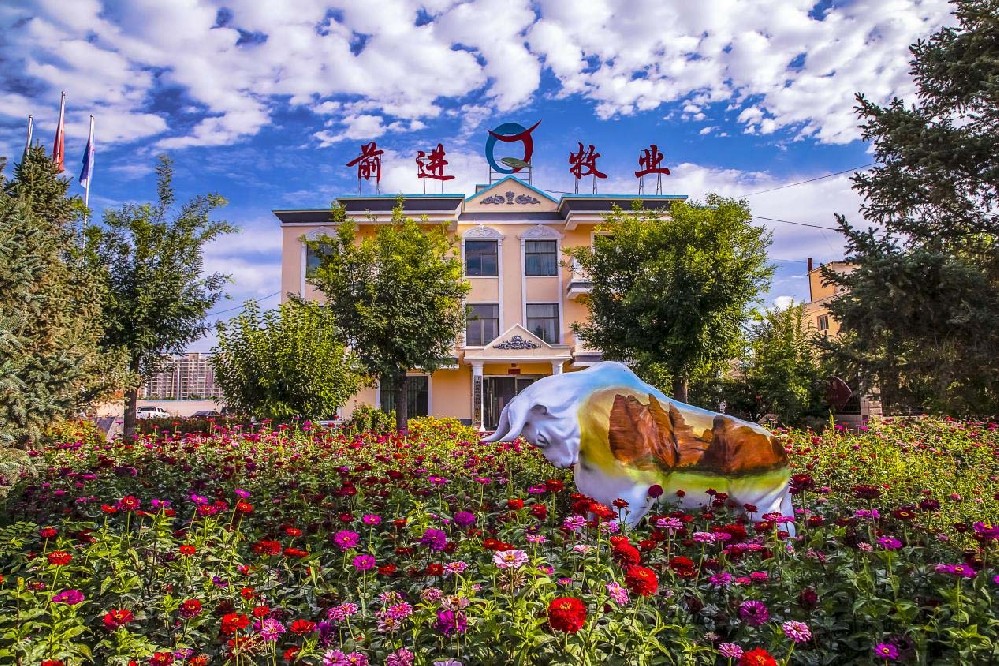 根植沃土，共沐朝阳——我与前进牧业同行的岁月