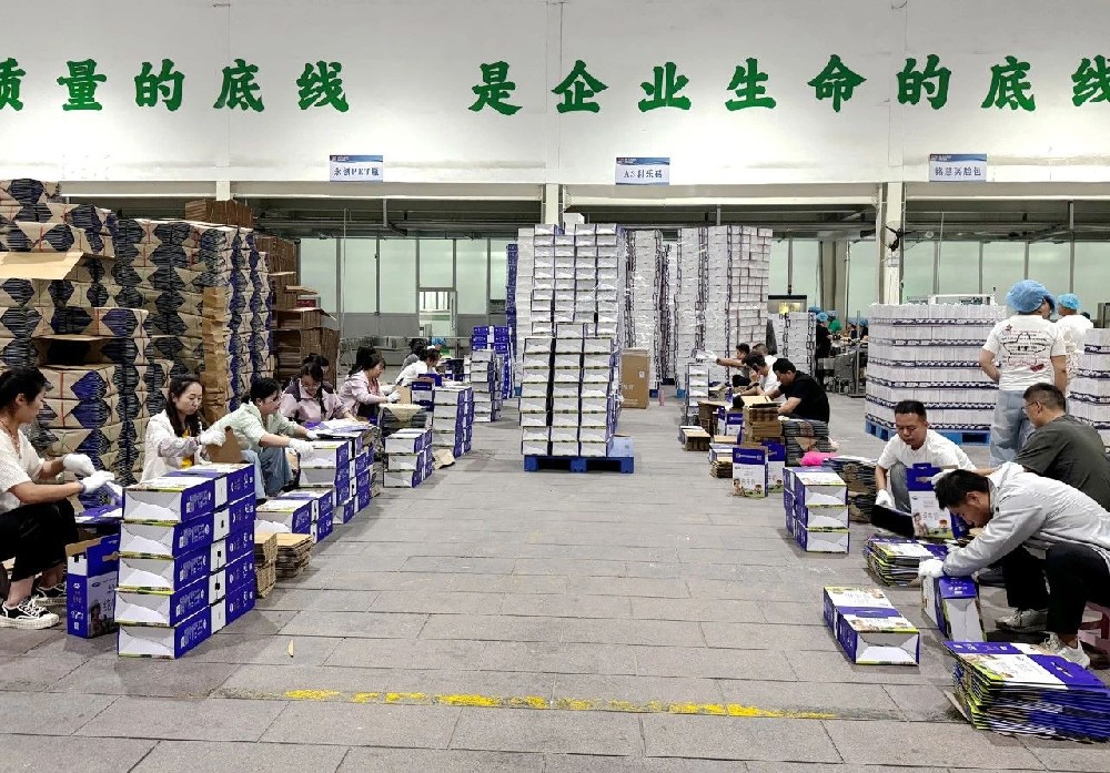 职能部门下沉一线，同心筑牢生产“保障线”